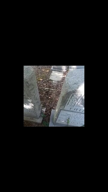 Staten island cemetery p 5