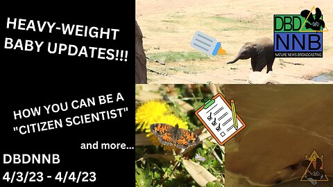 Light But Loaded | Baby Animal Updates and Stingrays Opening | DBDNNB April 5th, 2023