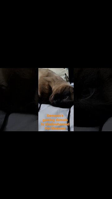 world domination #viral