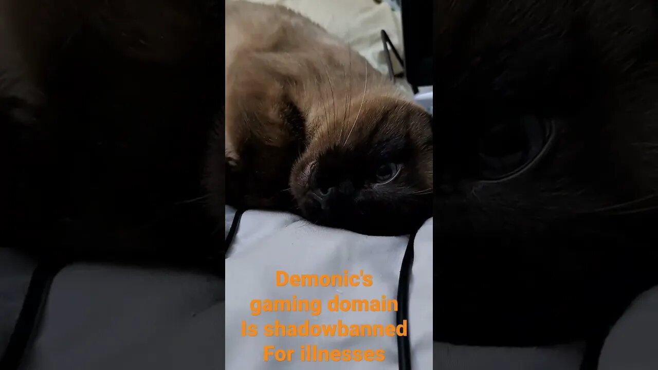 world domination #viral