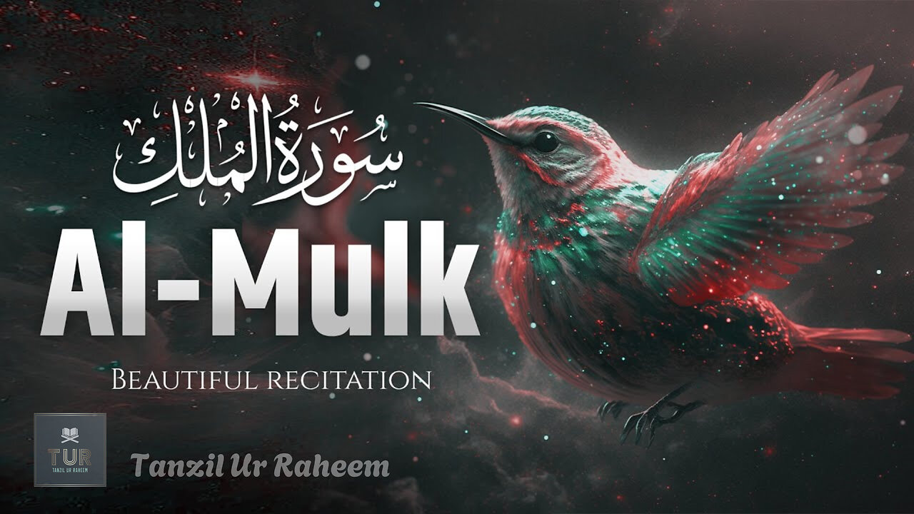 Surah Al-Mulk (Relaxing Recitation) | Tanzil Ur Raheem