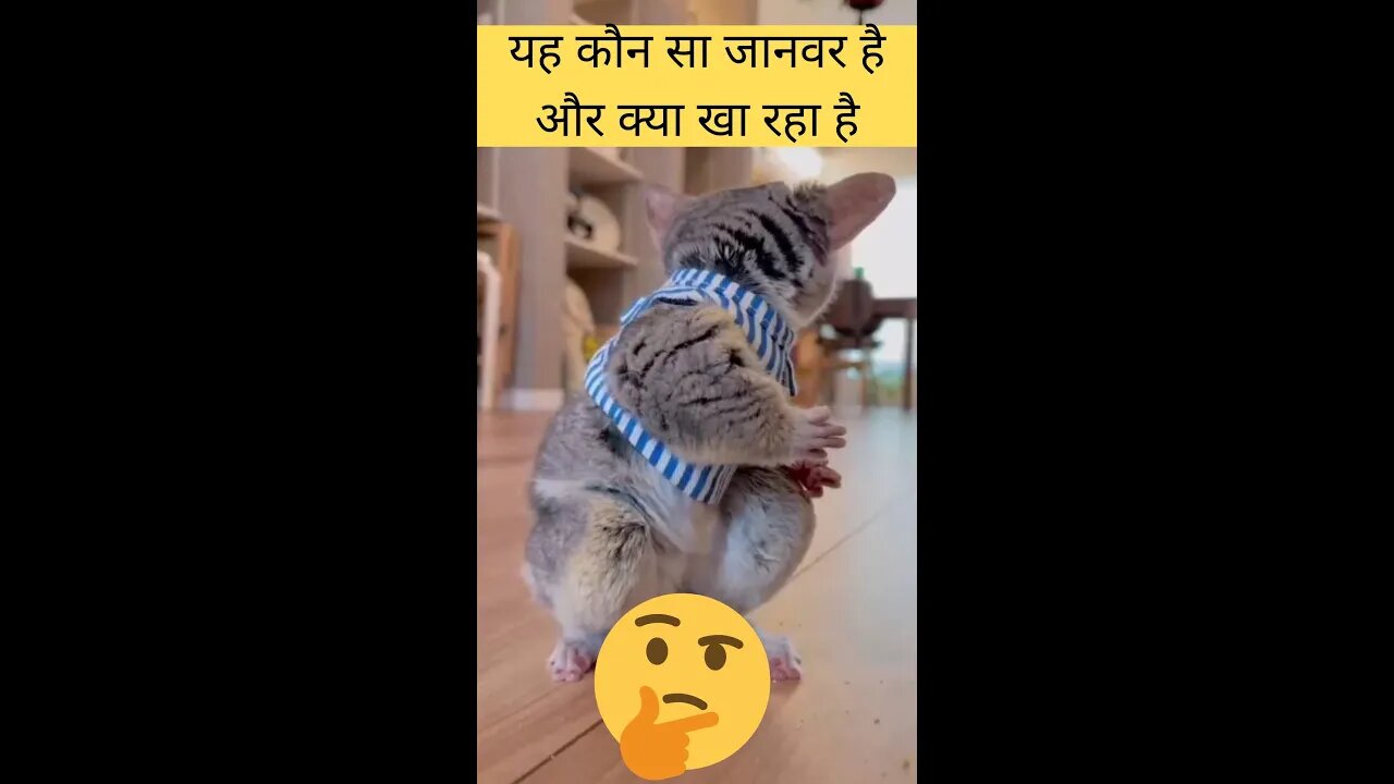 यह कौन सा जानवर है और क्या खा रहा है😱What animal is this and what is it eating👈