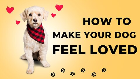 10 Ways to Show Your Dog Love: Some May Surprise You!