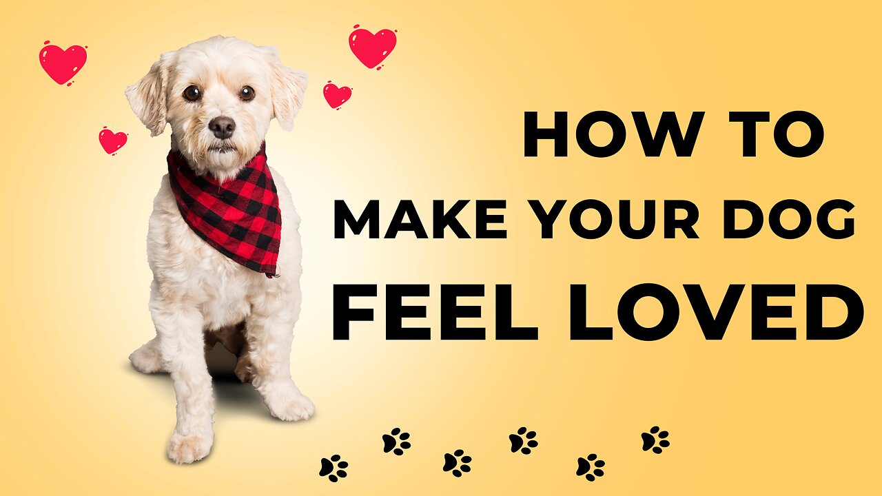 10 Ways to Show Your Dog Love: Some May Surprise You!