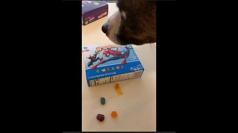 Princess rejects Spider-Man fruit snacks