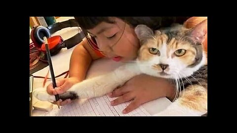 Funny animals - Funny cats dogs - Funny animal videos