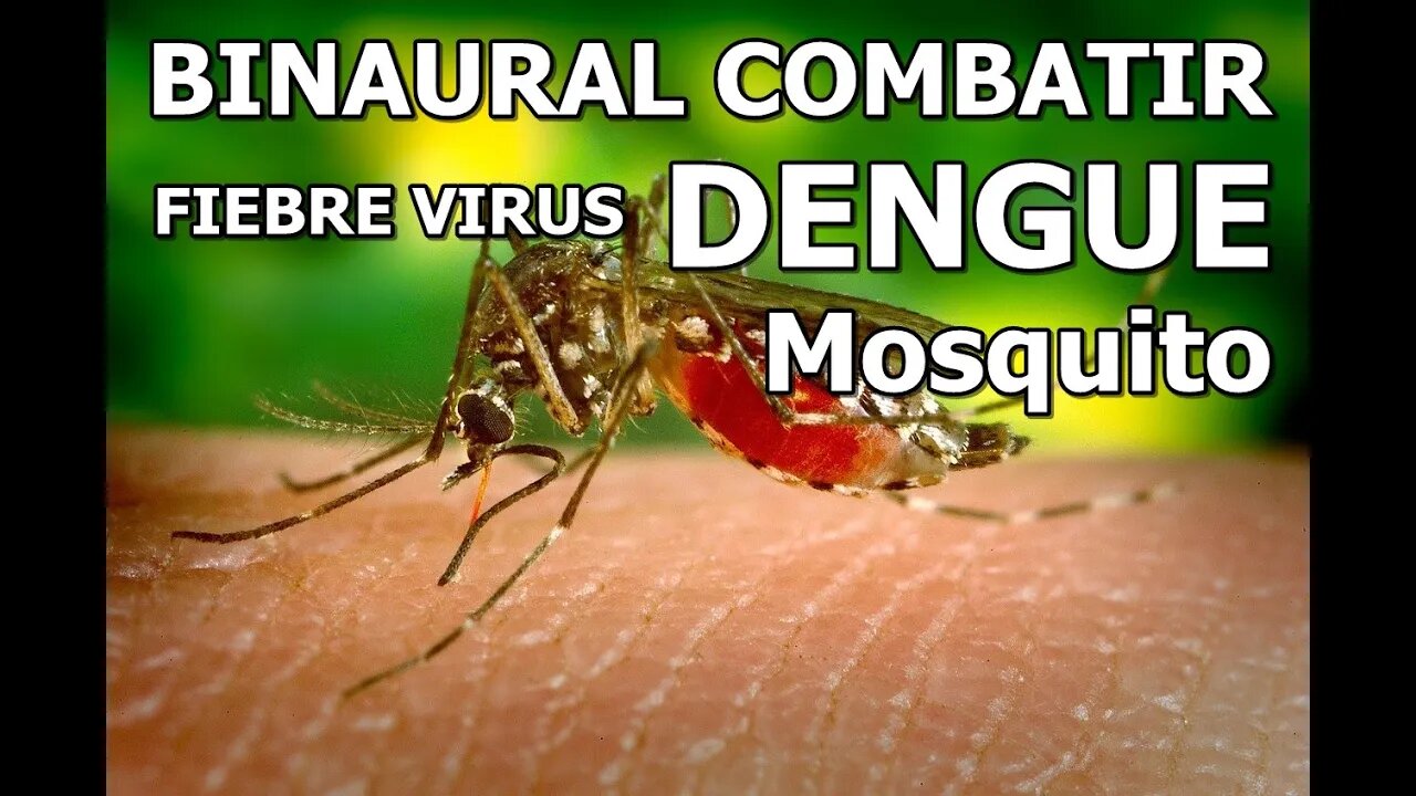 BINAURAL COMBATIR FIEBRE POR VIRUS DENGUE