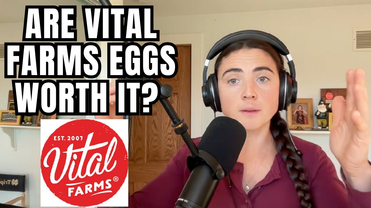 Are Vital Farms Eggs worth it? Analyzing PUFA egg levels.