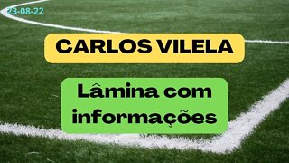 CARLOS VILELA Lâmina com informações