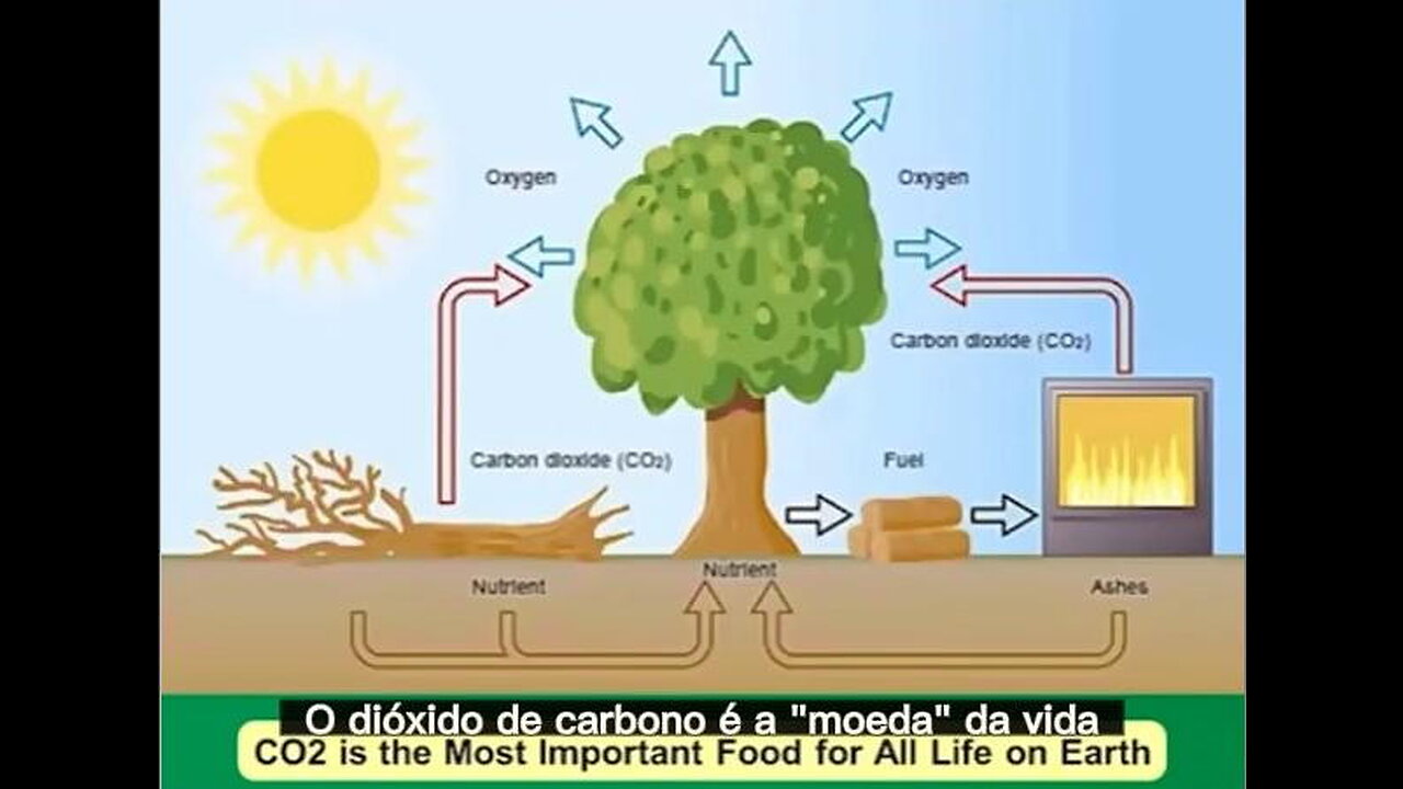 📢DR. PATRICK MOORE: DESTRÓI COMPLETAMENTE A MENTIRA DE QUE O CO2 É MAU PARA O AMBIENTE📢