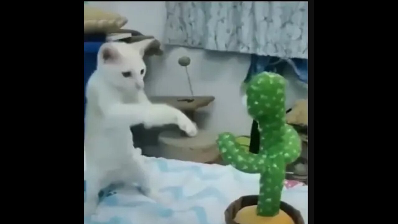 ###
