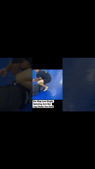 Ear Slap Low Single Helicopter Pass Spinning Arm bar Leg Choke Toe Hold