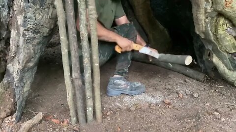 Build a warm shelter with a fireplace inside a 5,000 year old tree.13