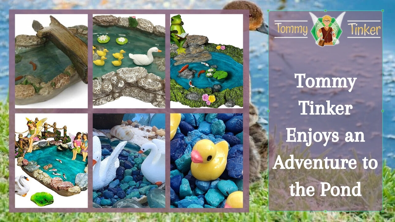 Tommy Tinker | Tommy Tinker Enjoys an Adventure to the Pond