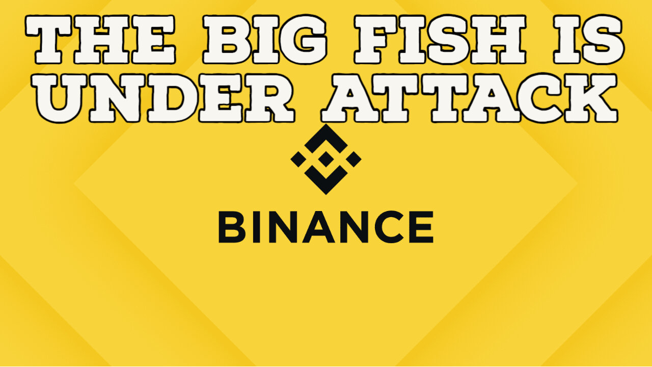 SEC SUES BINANCE. REKTS TODAY'S CRYPTO MARKETS