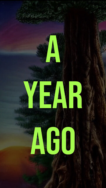 A Year Ago [on Pine Tunnel Road] - TukEk.art.shorts.