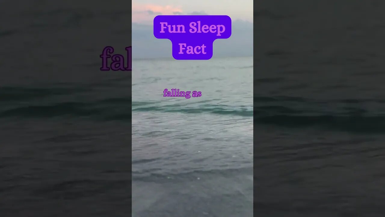 Beach Sleep Secret? 😴🏖️ | Surprising Fact Revealed! @AmbientNoiseCo. #beachvibes #facts #ocean