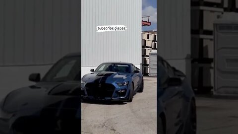 mustang 🐎🐎 #onepercent_clubb #mustang #weather #shorts #ytshorts #youtubeshorts