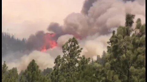 APS officials give tips on preparing for wildfire season