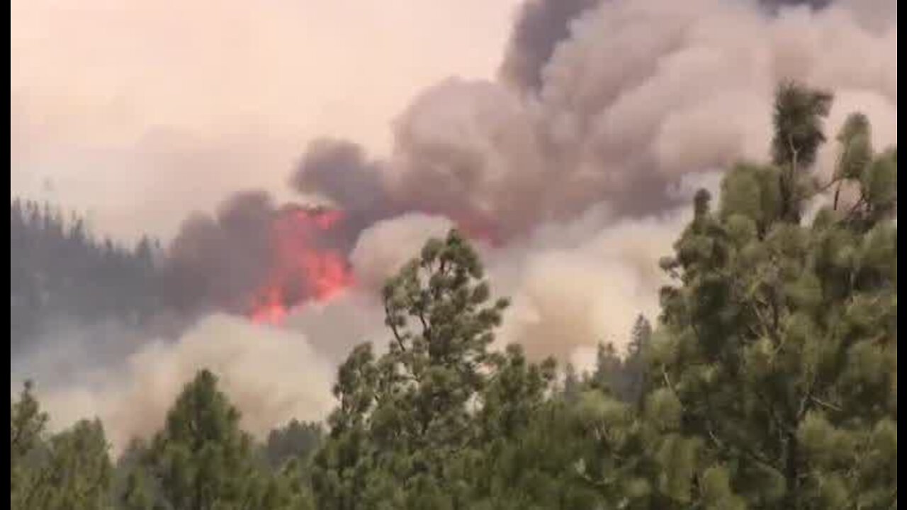 APS officials give tips on preparing for wildfire season