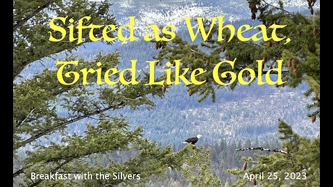 Sifted as Wheat, Tried like Gold - Breakfast with the Silvers & Smith Wigglesworth Apr 25