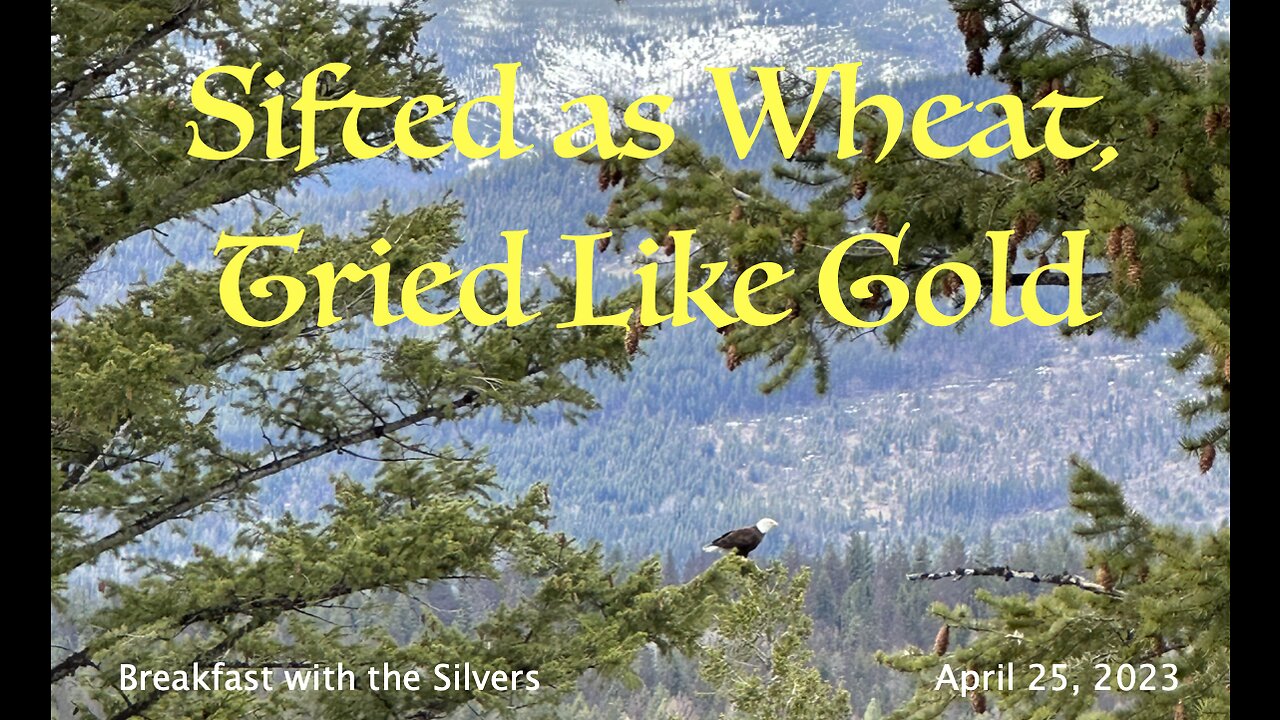 Sifted as Wheat, Tried like Gold - Breakfast with the Silvers & Smith Wigglesworth Apr 25