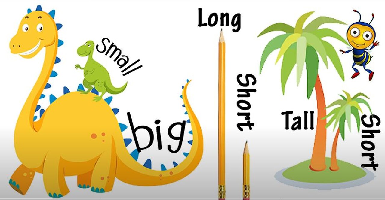 Learning Big And Small For Kids And Children | Comparison for Kids | Learn Pre-School Concepts