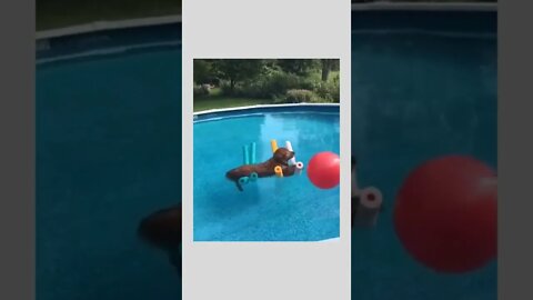 Time to relax… 😅❤️