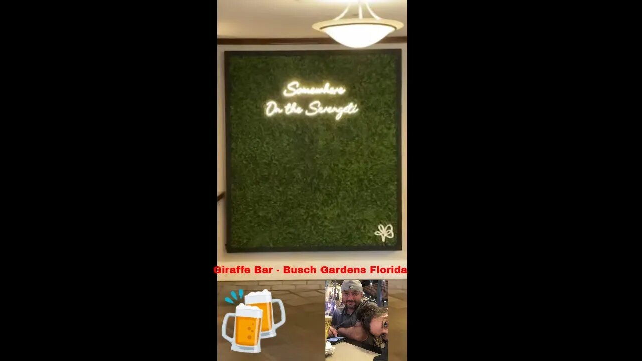 Giraffe Bar Busch Gardens Tampa #shorts #giraffebar #buschgardenstampa #savannahview