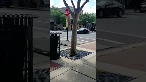 #gangstalking perp walk 05/05/2022 Pt. 1