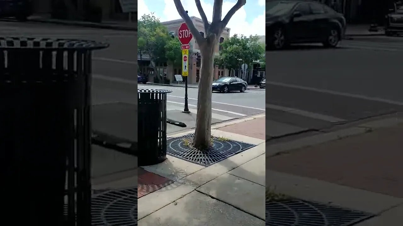 #gangstalking perp walk 05/05/2022 Pt. 1