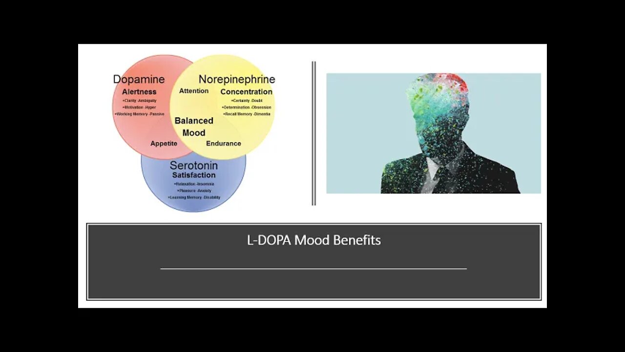 L Dopa - Mucuna pruriens - Dopamine Brain Booster