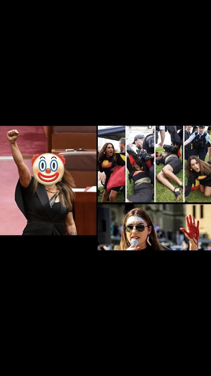 Victoria’s Voice to the Parliament 🍃 🤡 #LidiaThorpe