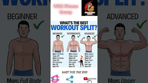 🔥What is the best workout split🔥#shorts🔥#wildfitnessgroup🔥6 July 2022🔥