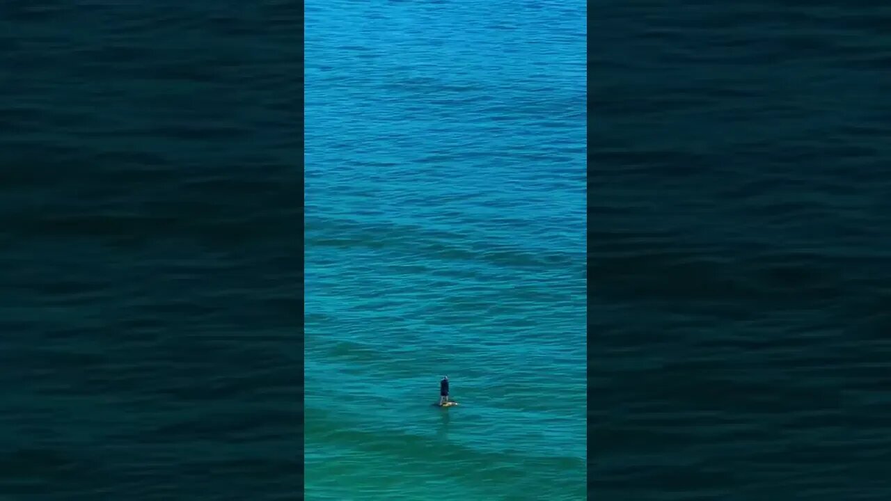 Paddle Surf #shorts