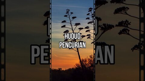 Hudud pencurian dan nisabnya