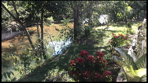 Conhecendo Pirenópolis-Goiás e suas beleza❤️