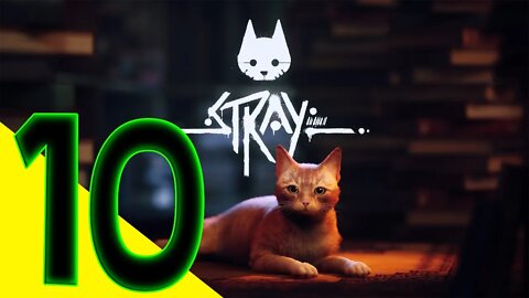 STRAY PC Walkthrough Gameplay - Part 10