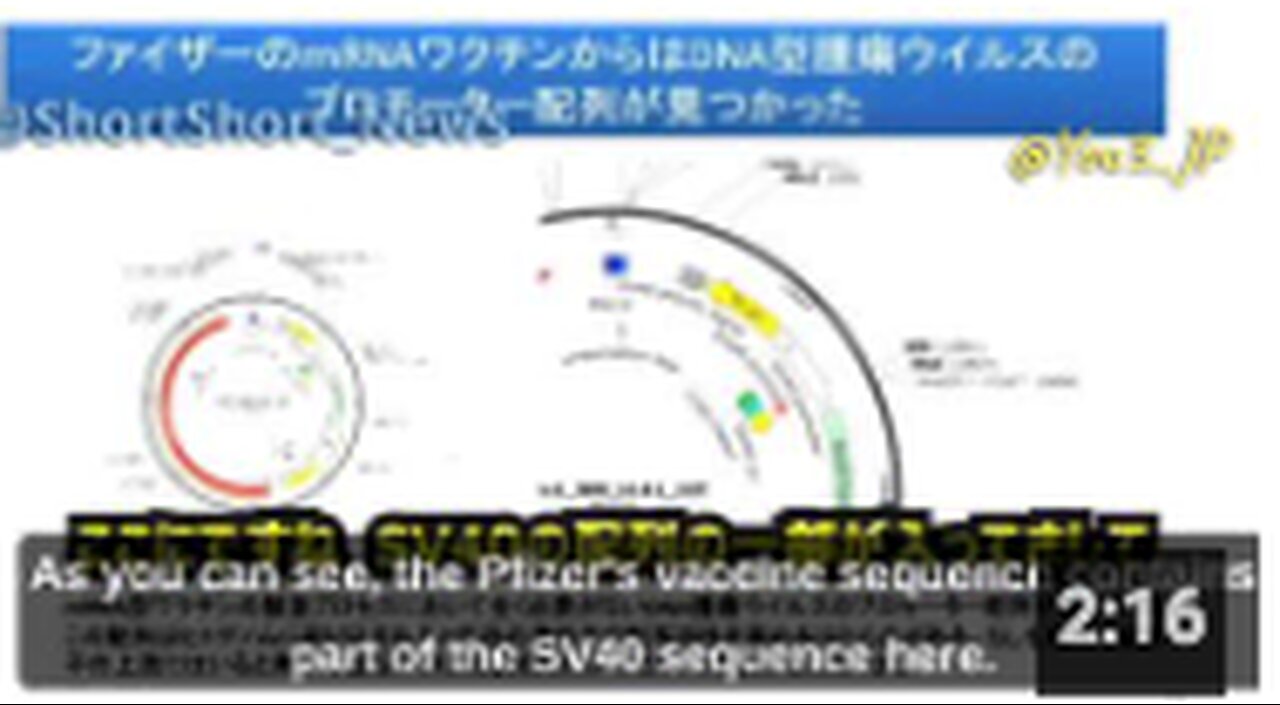 MALICIOUS! Prof. Murakami discusses cancer promoting DNA sequence found in Pfizer jabs