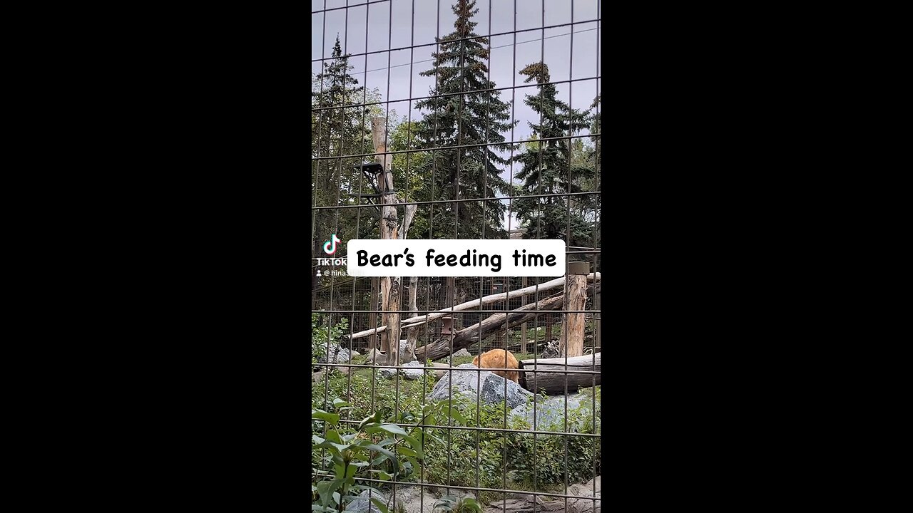 Calgary zoo