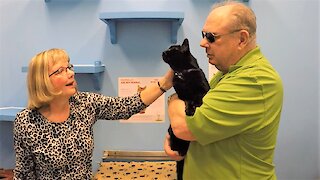 Hero veteran police officer's emotional reunion with lost cat