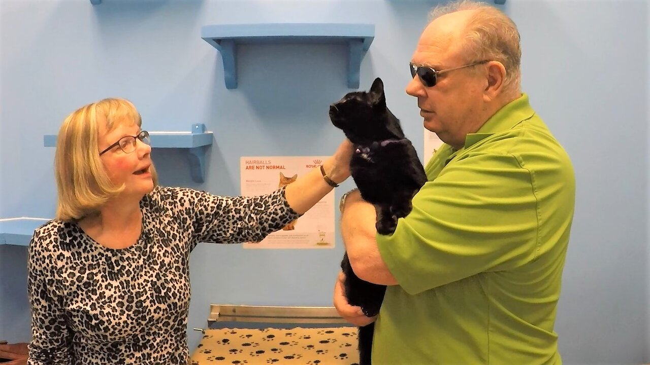 Hero veteran police officer's emotional reunion with lost cat