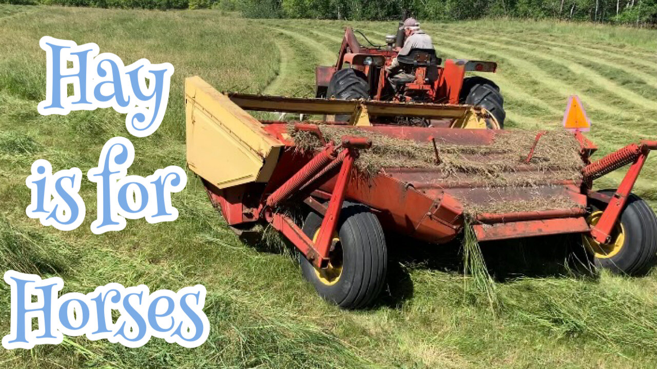 Cutting Hay 2022