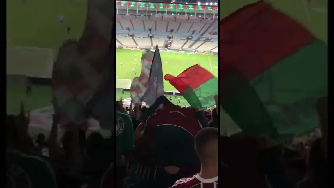 FLUMINENSE, TE AMAR É MINHA RAIZ! TRICOLORES FESTEJAM OS GOLS SOBRE O AVAÍ