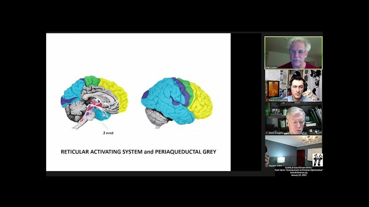 ActInf GuestStream #016.1 ~ Mark Solms "Consciousness as Precision Optimization"