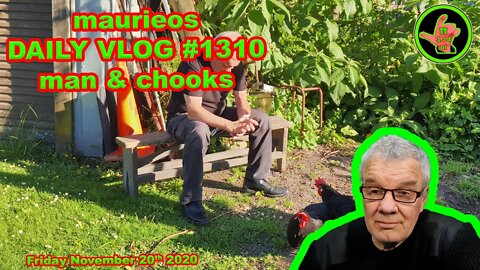 maurieos DAILY VLOG #1310 man & chooks