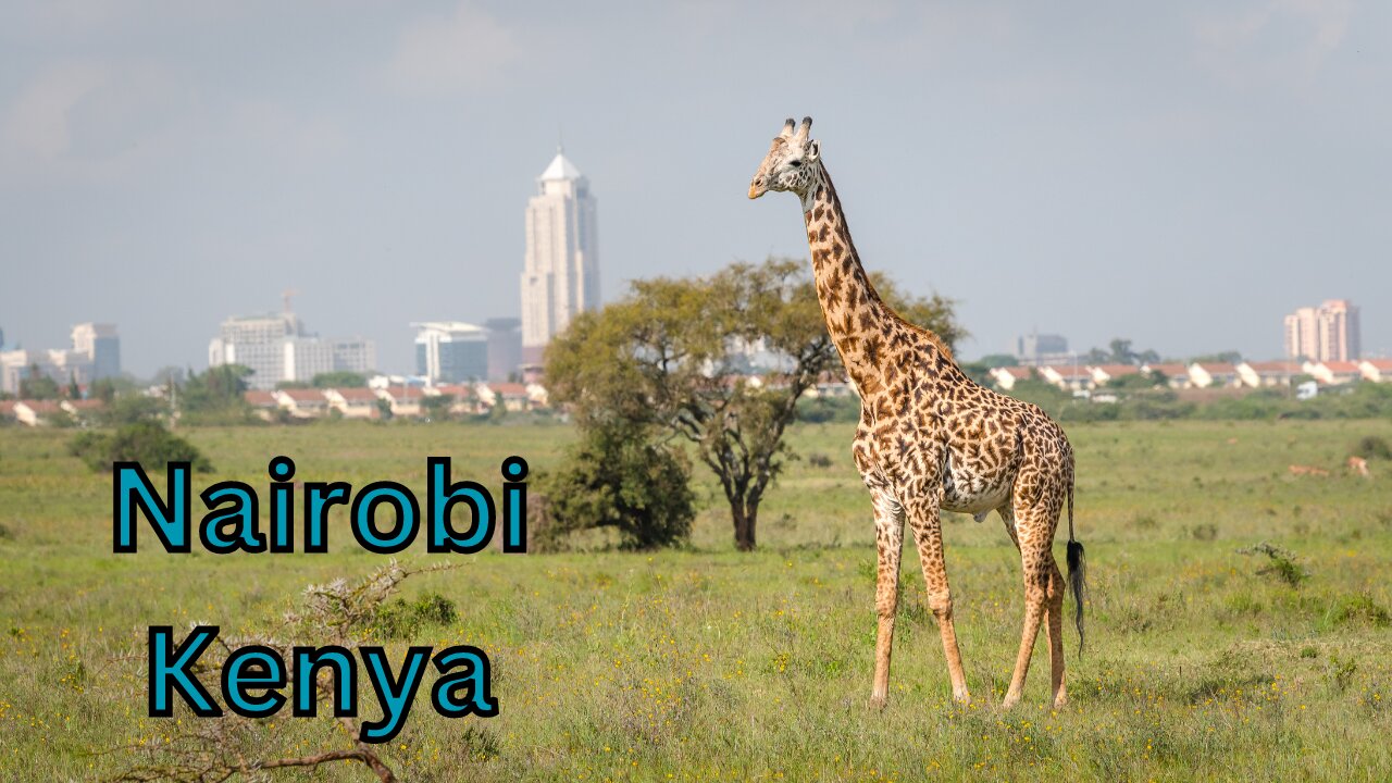 Nairobi Kenya: A Fusion of Culture And Nature