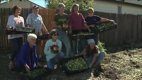 Grow Local Colorado Sheroes help grow 15,000 pounds of veggies for food pantries