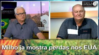 Milho ja mostra perdas nos EUA