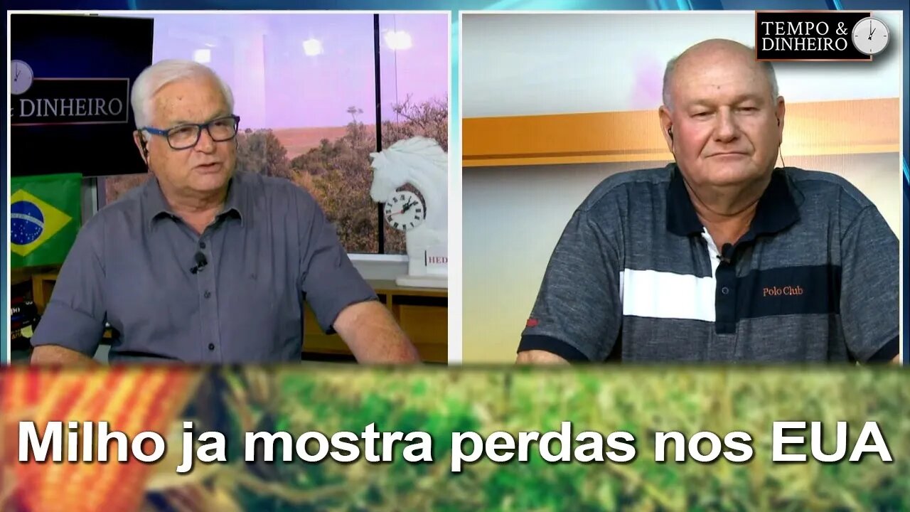 Milho ja mostra perdas nos EUA